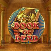 Book of Dead logo