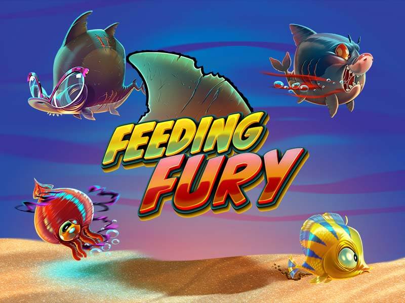 Feeding Fury