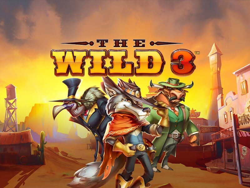 The Wild 3