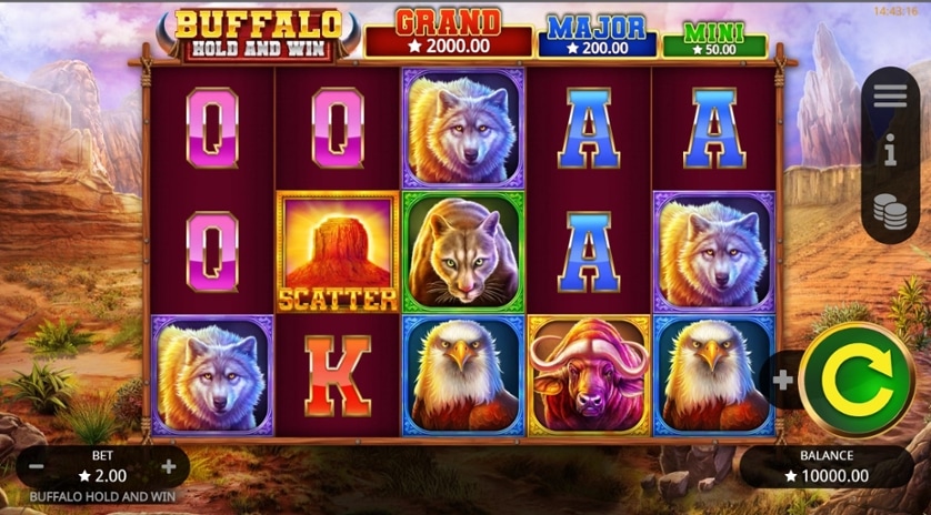 Mängi kohe - Buffalo Hold and Win