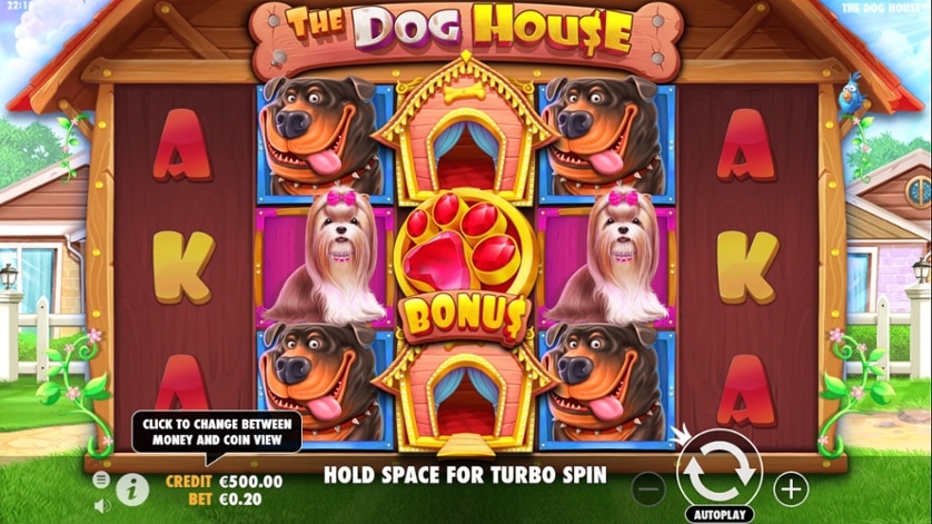 Mängi kohe - The Dog House