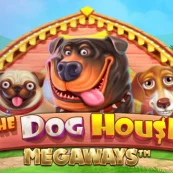 |Dog House Megaways