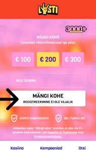 Tee sissemakse