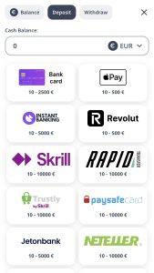 Uuri sissemaksemeetodeid