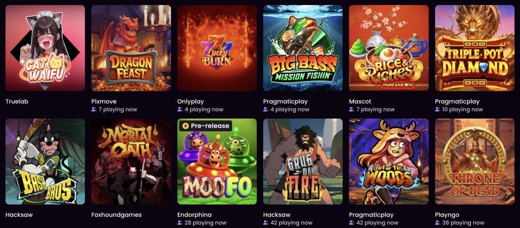 iWild Casino slotid